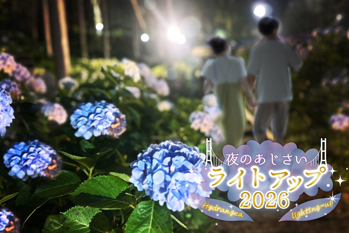 夜のライトアップ