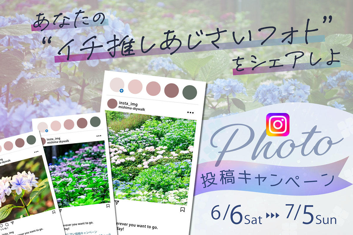 あじさい写真投稿キャンペーン