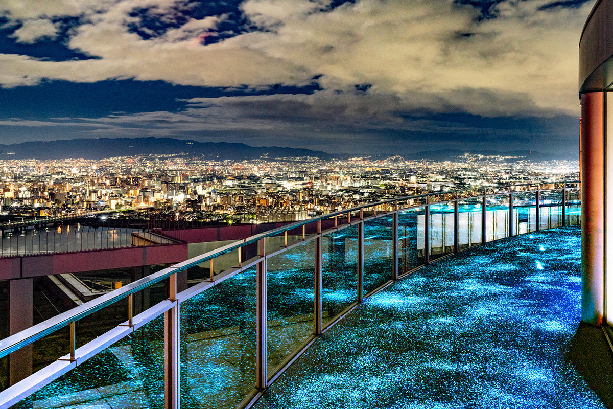 pic_sky-sunflower-garden-umeda202603.jpg