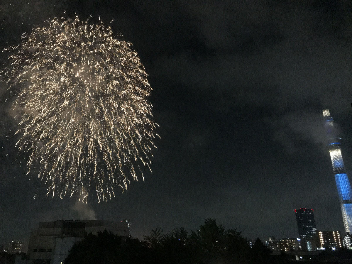 pic_sumidagawa-hanabi-toe-library202602.jpg