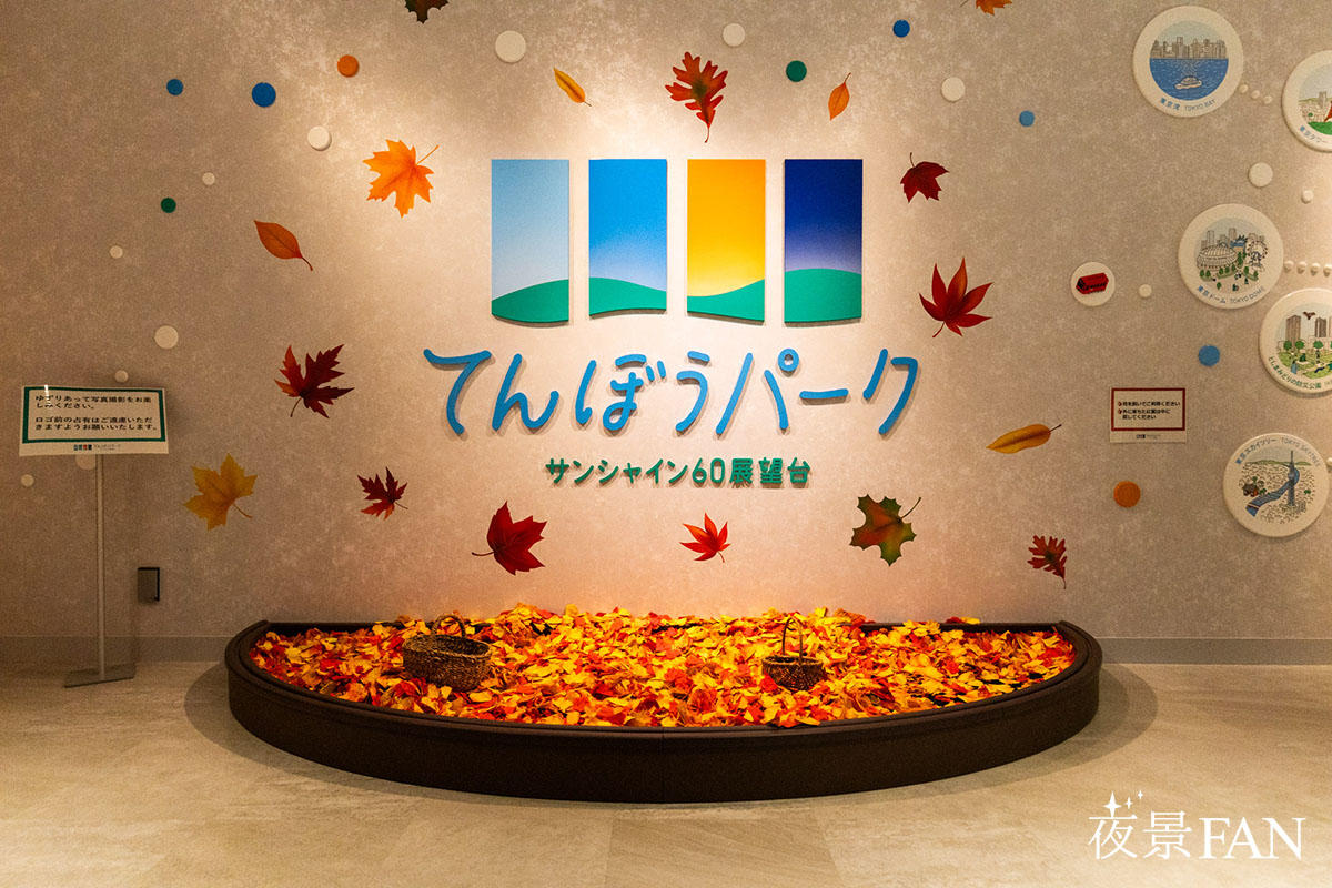 pic_sunshine60-tenbo-park-autumn20241202.jpg