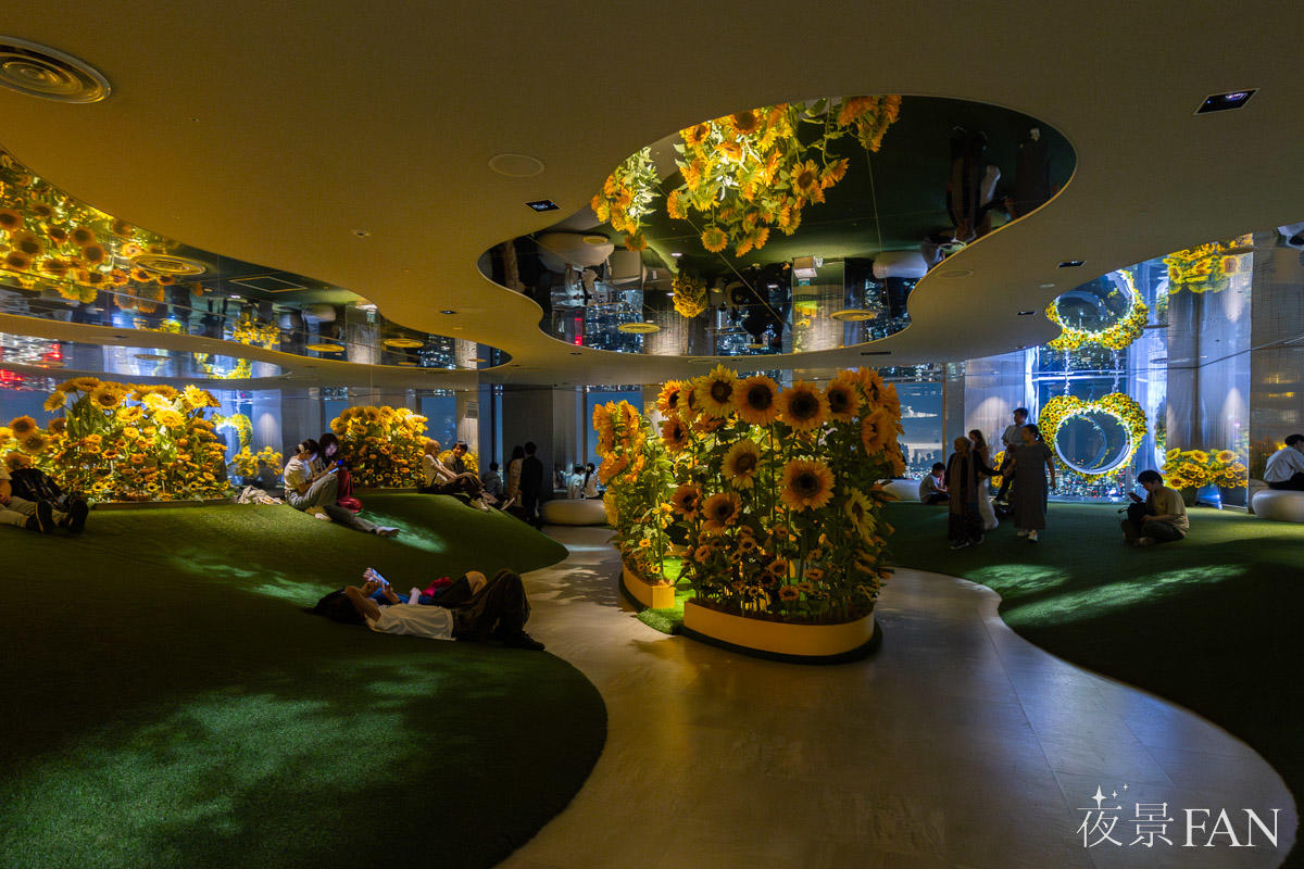 pic_sunshine60-tenbo-park-summer-night2026report07.jpg