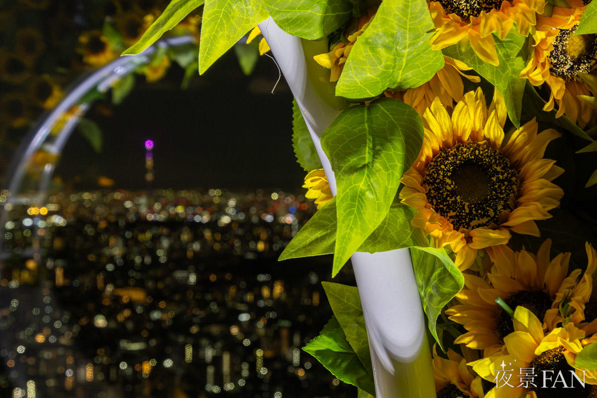 pic_sunshine60-tenbo-park-summer-night2026report10.jpg