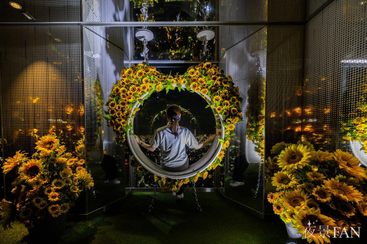 pic_sunshine60-tenbo-park-summer-night2026report11.jpg