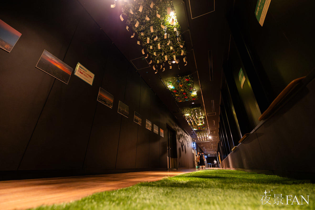 pic_sunshine60-tenbo-park-summer-night2026report16.jpg