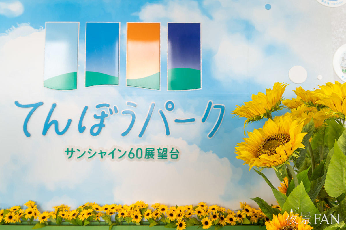 【現地レポ】「てんぼうパークの夏景色」サンシャイン60展望台に広がる約550本のひまわり