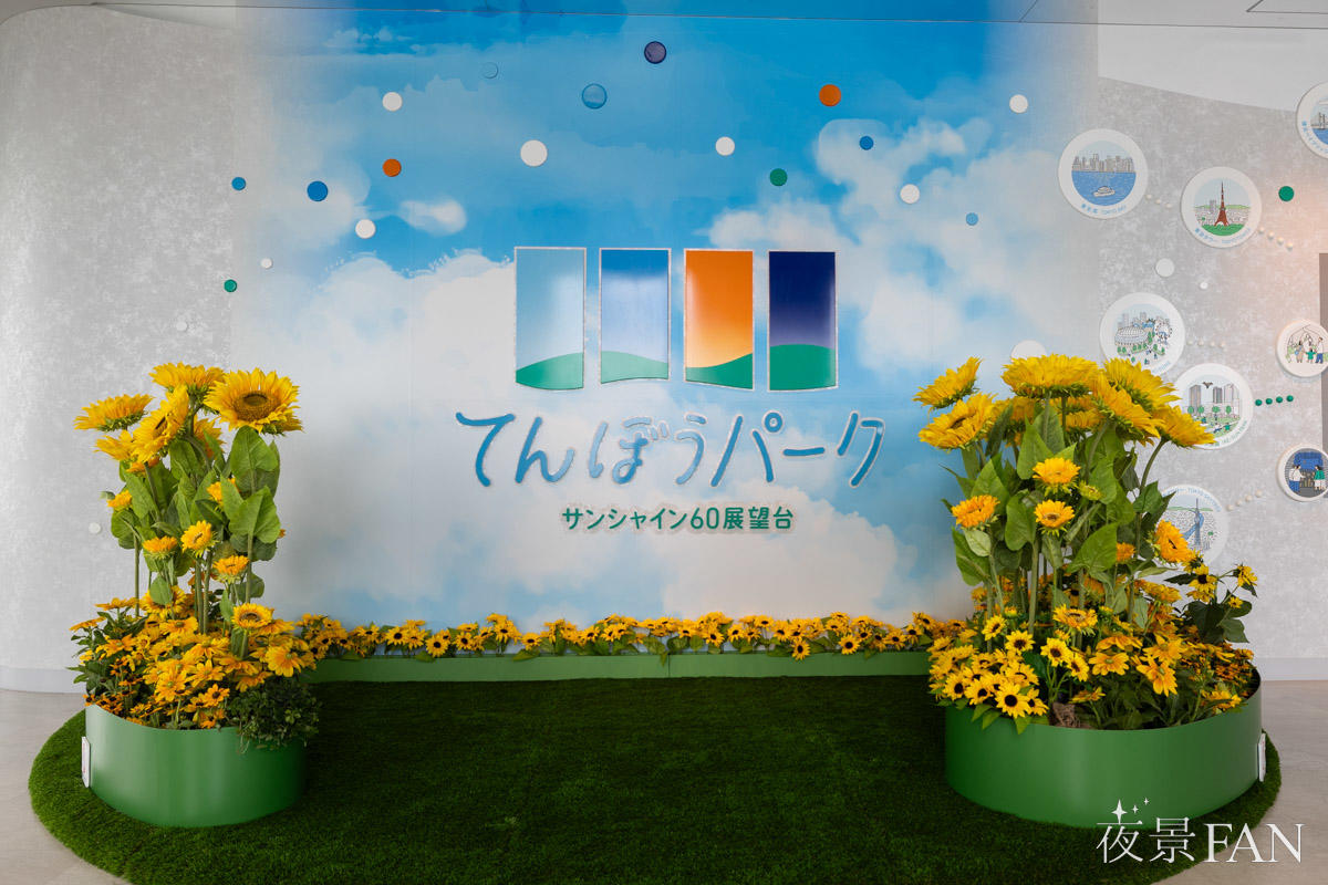 pic_sunshine60-tenbo-park-summer2026report02.jpg