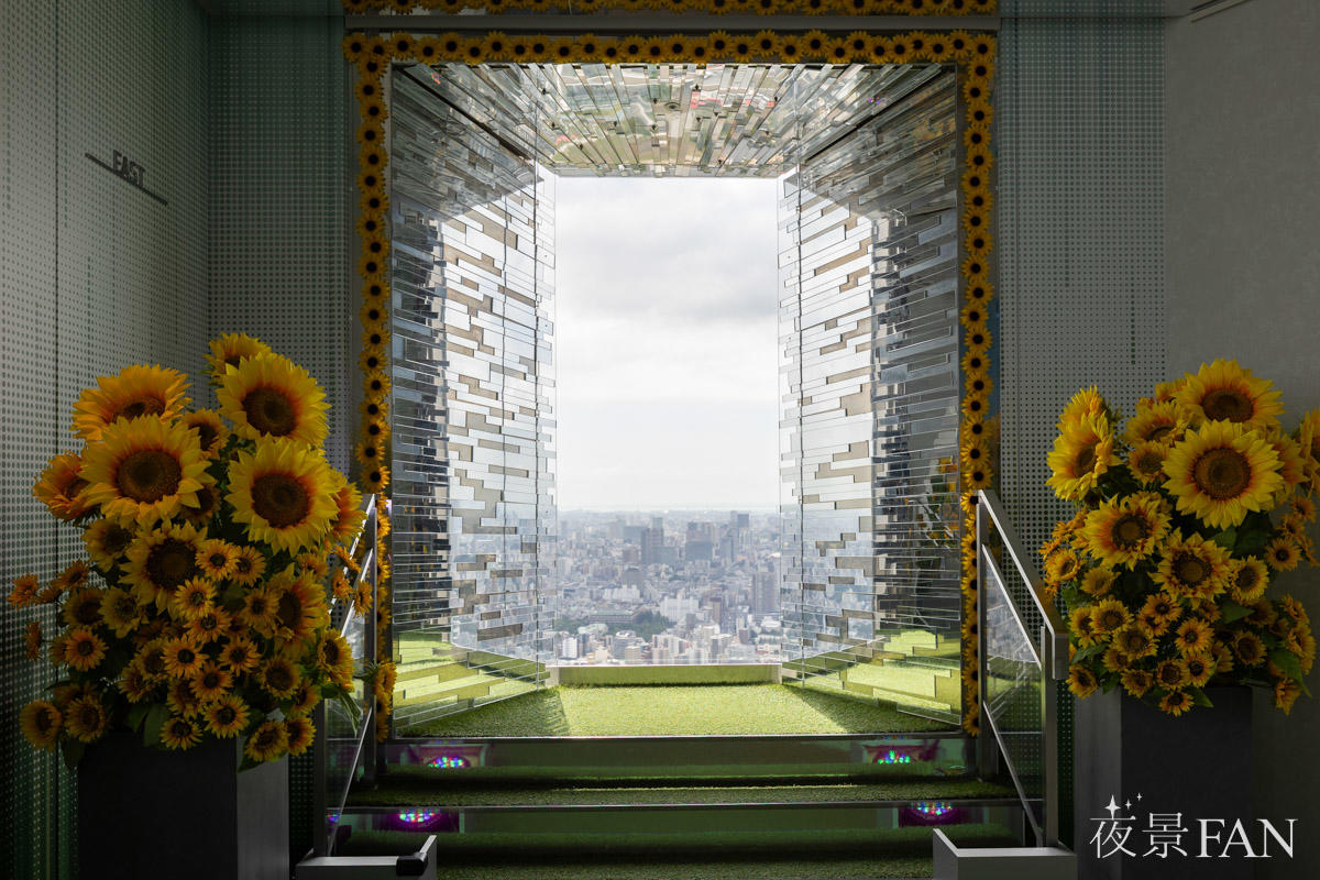 pic_sunshine60-tenbo-park-summer2026report03.jpg