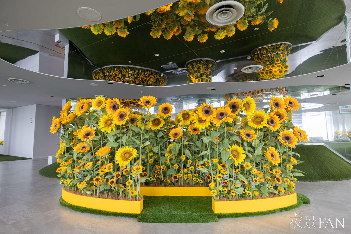 pic_sunshine60-tenbo-park-summer2026report06.jpg