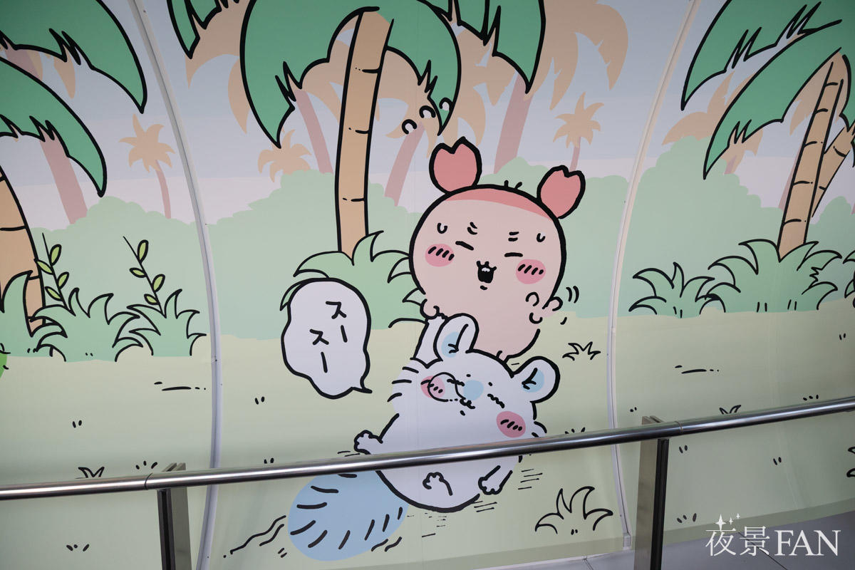 椰子の木の前で眠るモモンガと古本屋の壁画