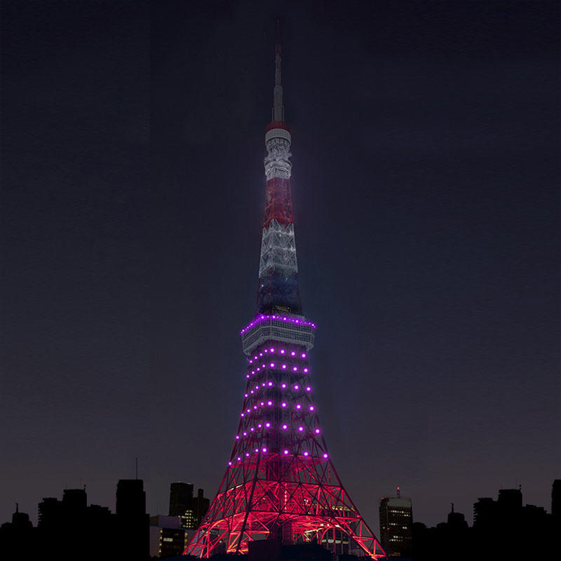 pic_tokyotower20240917moon02.jpg