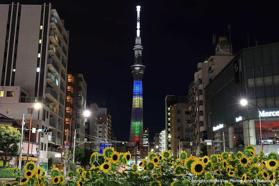 夏限定 東京スカイツリーとひまわりのコラボレーション 夜景fanマガジン