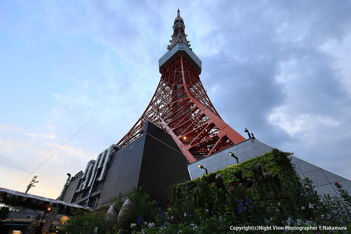 pic_tokyo-tower01.jpg