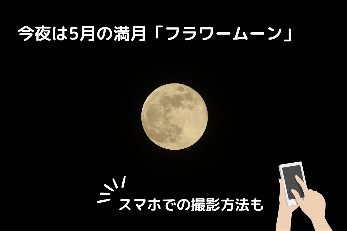 【2026】今夜は5月の満月「フラワームーン」　そしてマイクロムーン　由来やスマホでの撮影方法もご紹介