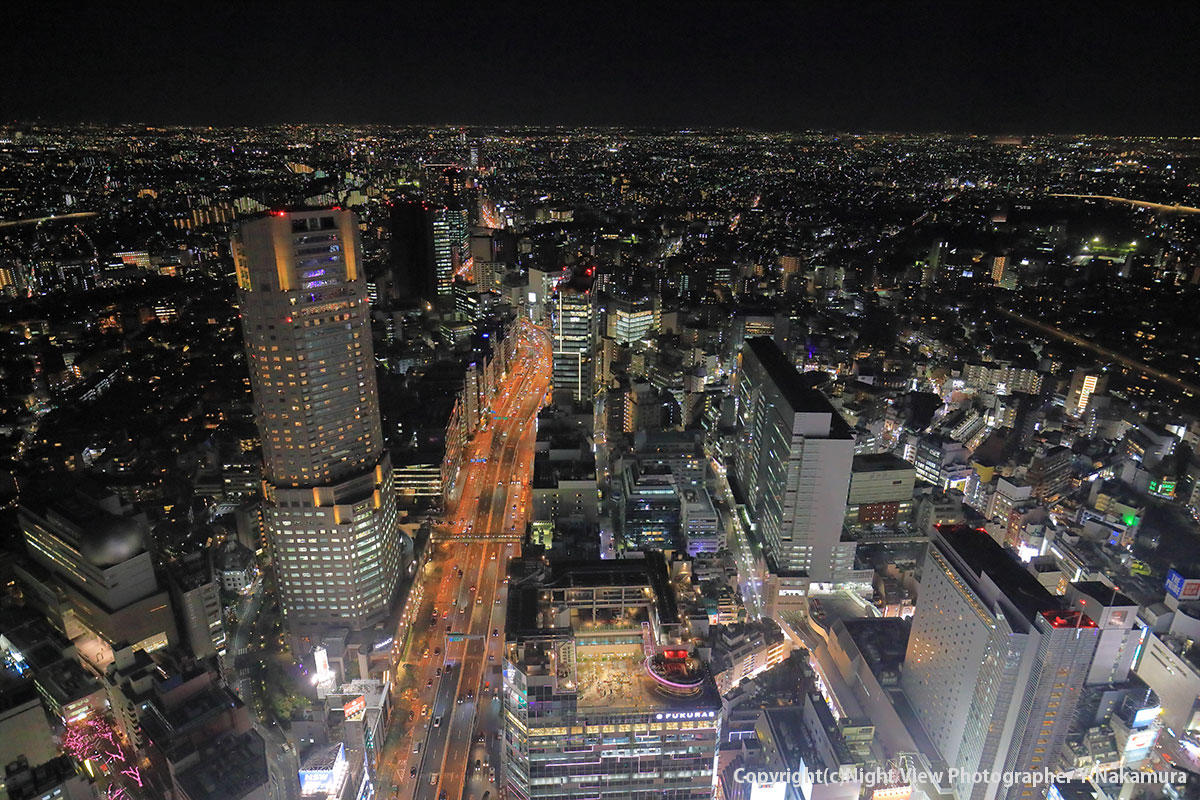 pic_shibuya-sky31.jpg